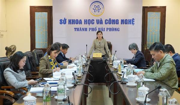 Giải pháp thu hút đầu tư trực tiếp nước ngoài (FDI) vào thành phố Hải Phòng trong bối cảnh mới