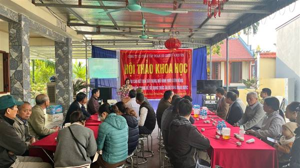 Mô hình nuôi lươn đồng thương phẩm sử dụng thức ăn bổ sung thảo dược