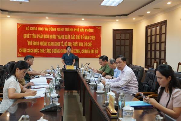 Hải Phòng: Thách thức an ninh phi truyền thống và các giải pháp phòng ngừa, ứng phó