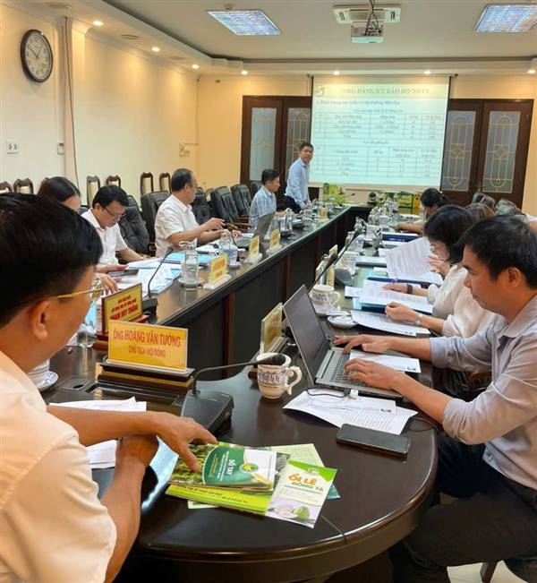 Hỗ trợ bảo hộ, quản lý và phát triển nhãn hiệu tập thể “Ổi lê Đông Tạ, huyện Vĩnh Bảo, thành phố Hải Phòng”