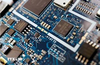 ttxvn-chip-ban-dan.jpg