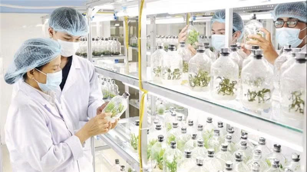 Định hình tương lai nhân lực công nghệ sinh học