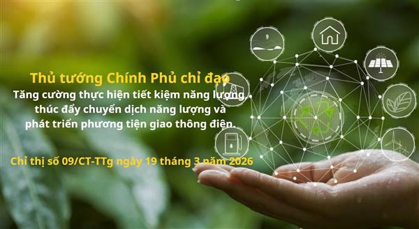 Thủ tướng Chính Phủ chỉ đạo Thực hiện nghiêm túc, hiệu quả Chương trình quốc gia về sử dụng năng lượng tiết kiệm và hiệu quả giai đoạn 2019 - 2030 