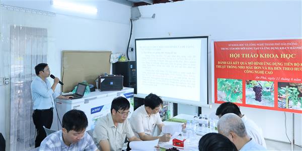 Đánh giá kết quả mô hình ứng dụng tiến bộ kỹ thuật trồng nho Mẫu Đơn và Hạ Đen theo hướng công nghệ cao