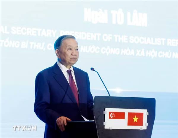 Việt Nam - Singapore đẩy mạnh hợp tác công nghệ cao và trí tuệ nhân tạo