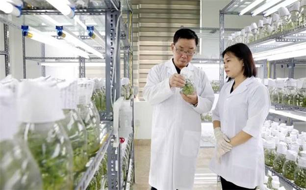 Đột phá theo Nghị quyết 57: Làm chủ công nghệ, mở đường cho tăng trưởng