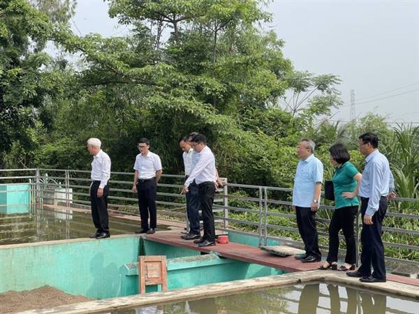 Thẩm tra hồ sơ dự thảo Quy chuẩn kỹ thuật địa phương về chất lượng nước sạch dùng cho mục đích sinh hoạt trên địa bàn Hải Phòng