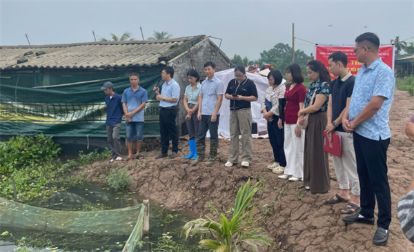 Sở Khoa học và Công nghệ: đánh giá kết quả mô hình nuôi ốc nhồi thương phẩm tại thực địa