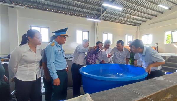 Bạch Long Vĩ tổ chức Lễ thả con giống tái tạo nguồn lợi thủy sản, phục hồi quỹ gen vùng biển năm 2026