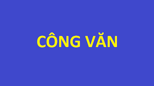 Truyền thông dự thảo Quyết định ban hành Quy chế thực hiện dân chủ cơ sở ở đặc khu Bạch Long Vĩ