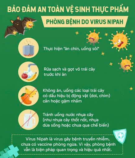 Tăng cường dinh dưỡng, đảm bảo an toàn thực phẩm phòng, chống dịch bệnh do virus Nipah.