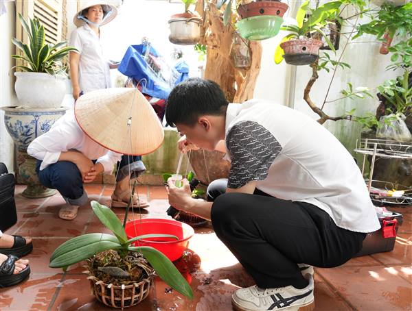 Chủ động phòng, chống sốt xuất huyết