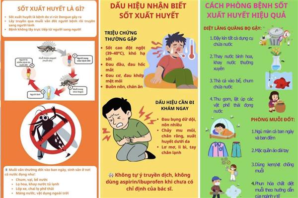 PHƯỜNG AN BIÊN CHỦ ĐỘNG TRIỂN KHAI CÁC BIỆN PHÁP PHÒNG, CHỐNG SỐT XUẤT HUYẾT, KIỂM SOÁT HIỆU QUẢ DỊCH BỆNH