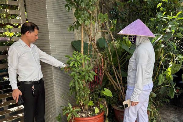 UBND PHƯỜNG AN BIÊN TĂNG CƯỜNG CHỈ ĐẠO XỬ LÝ Ổ DỊCH SỐT XUẤT HUYẾT TẠI NGÕ 512 - 562 NGUYỄN VĂN LINH