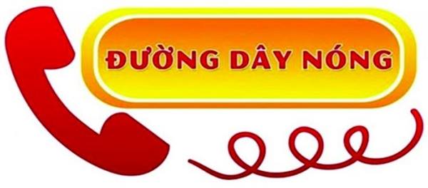 Thông báo đường dây nóng tiếp nhận thông tin phản ánh kiến nghị, khiếu nại, tố cáo trên địa bàn phường An Hải, thành phố Hải Phòng