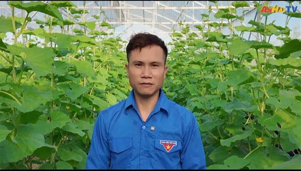 Thanh niên phường An Hải khởi nghiệp, sáng tạo từ nông nghiệp áp dụng công nghệ cao