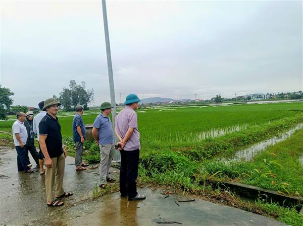 XÃ AN HƯNG KHẨN TRƯƠNG TRIỂN KHAI CÁC GIẢI PHÁP TIÊU THOÁT NƯỚC, BẢO VỆ SẢN XUẤT TRƯỚC ẢNH HƯỞNG CỦA BÃO SỐ 4