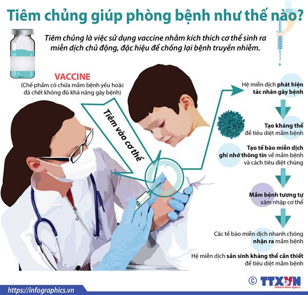  KH triển khai chương trình Tiêm chủng mở rộng trên địa bàn thành phố Hải Phòng và xã An Khánh, giai đoạn 2026 - 2028
