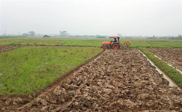 Thông báo về việc đẩy nhanh tiến độ cày lật đất và thực hiện kế hoạch sản xuất vụ xuân năm 2026