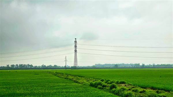 Kế hoạch sản xuất vụ Xuân năm 2026