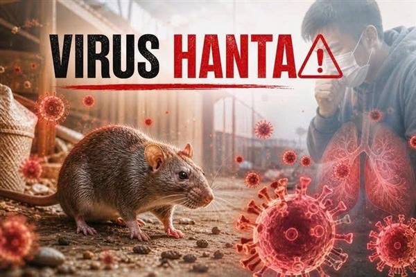 V/v tăng cường công tác truyền thông phòng, chống dịch bệnh do vi rút Hanta