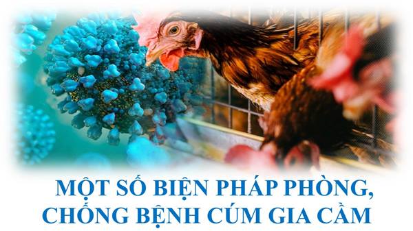 Thông báo tăng cường công tác phòng, chống bệnh Cúm gia cầm  trên địa bàn xã An Khánh 