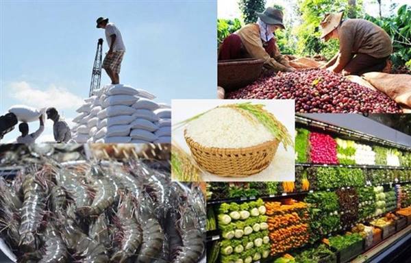 V/v tăng cường Tổ chức ký cam kết đối với các cơ sở sản xuất, kinh doanh nông, lâm, thủy sản không thuộc diện cấp Giấy chứng nhận cơ sở đủ điều kiện an toàn thực phẩm