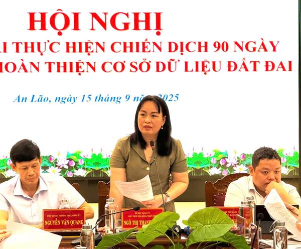 Xã An Lão triển khai chiến dịch 90 ngày xây dựng cơ sở dữ liệu đất đai