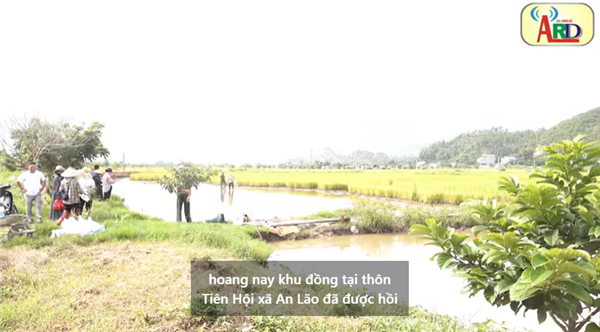 Hiệu quả từ mô hình Lúa - Cá trên đồng đất Tiên Hội