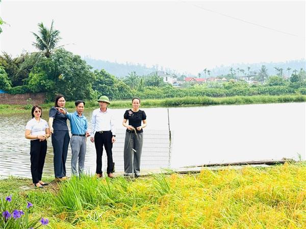 HỘI NÔNG DÂN XÃ AN LÃO RA MẮT MÔ HÌNH “CÁNH ĐỒNG XANH 3 KHÔNG” VÀ THÀNH LẬP CHI HỘI NÔNG DÂN NGHỀ NGHIỆP 