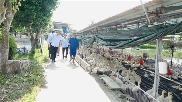  XÃ AN LÃO TỔ CHỨC THAM QUAN CÁC MÔ HÌNH PHÁT TRIỂN KINH TẾ TIÊU BIỂU