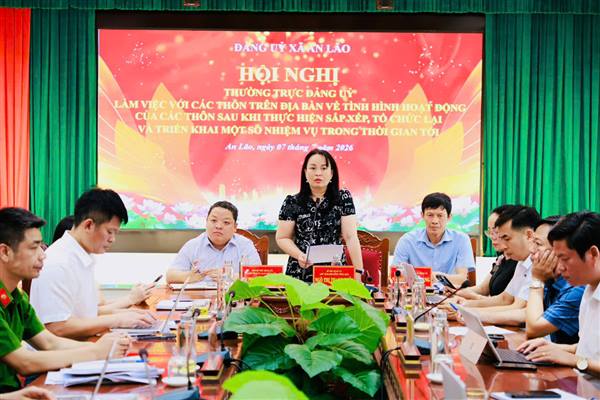 ĐẢNG ỦY XÃ AN LÃO LÀM VIỆC VỚI CÁC THÔN SAU SẮP XẾP,  TỔ CHỨC LẠI