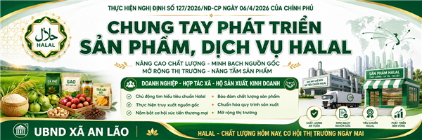 Nghị định số 127/2026/NĐ-CP của Chính phủ về quản lý chất lượng và chính sách phát triển sản phẩm, dịch vụ Halal
