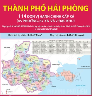 image advertisement