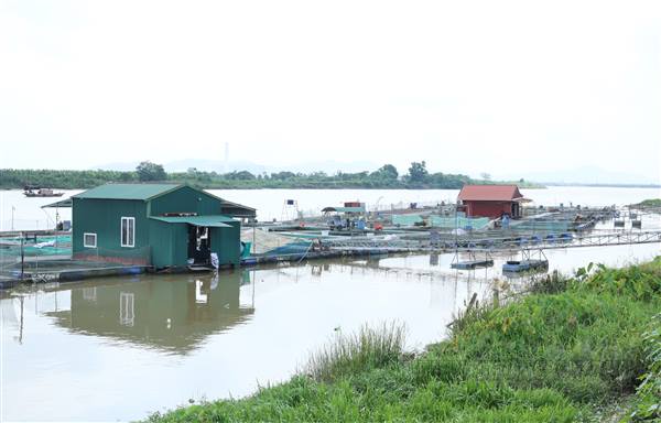 Chủ động phòng ngừa, ứng phó với diễn biến bão và mưa, lũ trên địa bàn