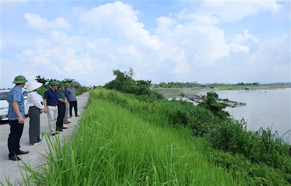 Lãnh đạo xã An Phú kiểm tra đê điều, lồng cá trên sông, sẵn sàng ứng phó với bão Wipha