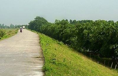 An Phú tập trung giải toả, thanh thải vật cản, xử lý vi phạm phạm vi bảo vệ đê điều và vận hành công trình để đảm bảo thoát lũ, an toàn đê điều