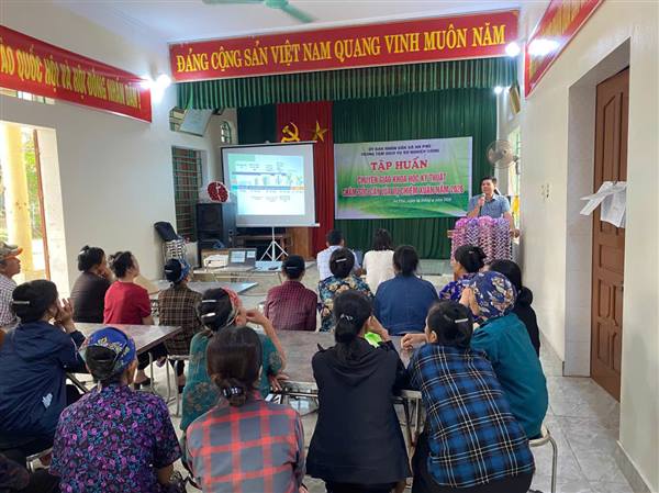 Nông dân thôn Kim Bảng, Lâm Xuyên được tập huấn chăm sóc lúa vụ chiêm xuân năm 2026