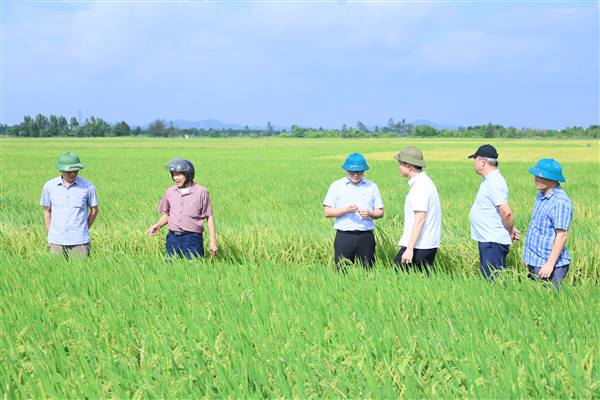 Lãnh đạo xã An Phú thăm đồng, kiểm tra sản xuất và làm việc tại Nhà máy nước sạch An Bình