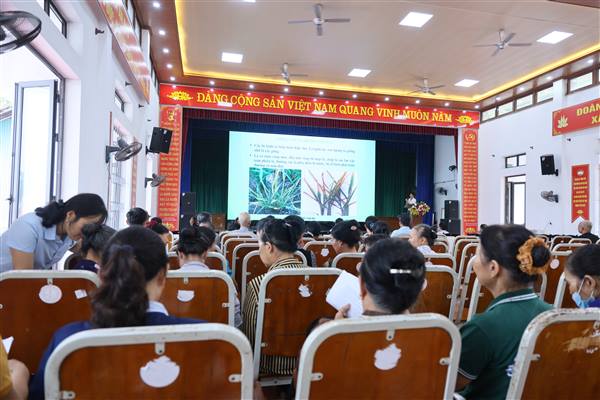 Xã An Phú tập huấn kỹ thuật diệt chuột, phòng chống bệnh lùn sọc đen và các đối tượng sinh vật gây hại trên lúa vụ mùa năm 2026