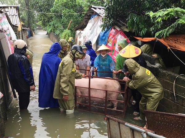 An Thành tuyên truyền các biện pháp phòng, chống dịch bệnh cho đàn vật nuôi sau mưa, lũ