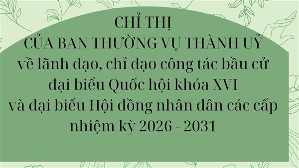 HẢI PHÒNG QUYẾT TÂM TỔ CHỨC BẦU CỬ QUỐC HỘI KHOÁ XVI VÀ HĐND CÁC CẤP THÀNH CÔNG, THỰC SỰ LÀ NGÀY HỘI CỦA TOÀN DÂN