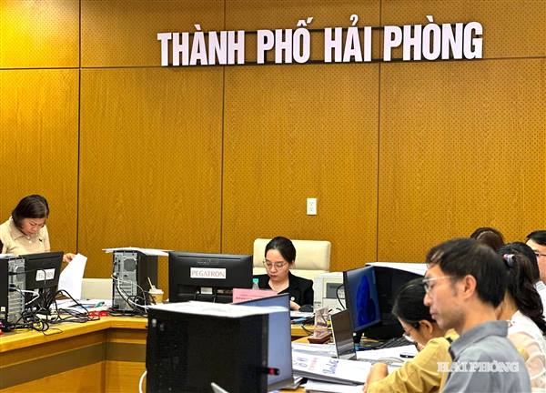 Hải Phòng có 7 xã, đặc khu 100% số cử tri tham gia bỏ phiếu, không đơn vị nào phải bầu thêm