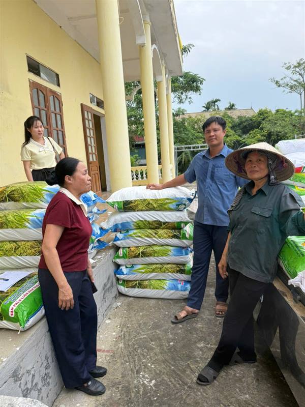 AN THÀNH CẤP PHÁT GIỐNG LÚA CHẤT LƯỢNG CAO, ĐỒNG HÀNH CÙNG NÔNG DÂN VÀO VỤ MỚI