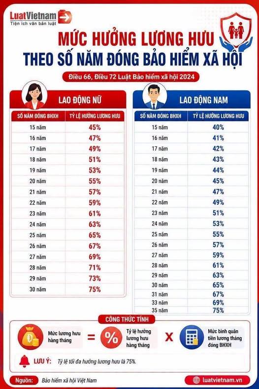 Mức hưởng lương hưu theo số năm đóng Bảo hiểm xã hội theo Luật Bảo hiểm xã hội 2024