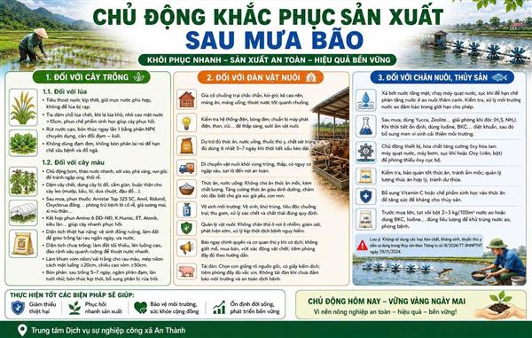 Trung tâm Dịch vụ sự nghiệp công xã An Thành Hướng dẫn chăm sóc, khắc phục hậu quả sau bão số 4 đối với cây trồng, vật nuôi 