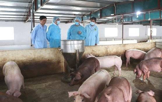 TĂNG CƯỜNG PHÒNG, CHỐNG DỊCH BỆNH ĐỘNG VẬT NĂM 2025 TRÊN ĐỊA BÀN XÃ AN TRƯỜNG

