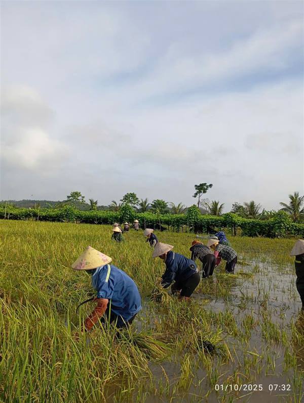 

Các lực lượng Công an, Quân sự, Tổ dân phố hỗ trợ nhân dân khu vực ngoài đê di chuyển tài sản đến nơi an toàn

