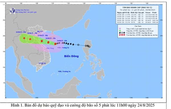 Phường Bắc An Phụ chủ động phòng chống cơn bão số 5 năm 2025