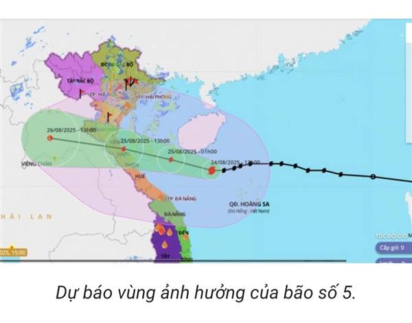 Ban thường vụ Đảng ủy phường Bắc An Phụ chỉ đạo phòng, chống cơn bão số 5